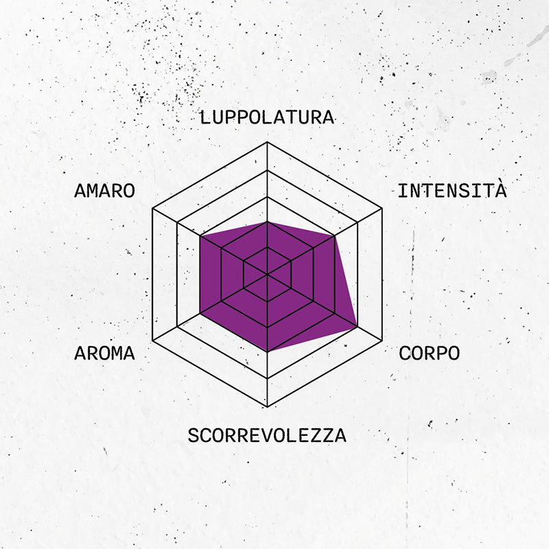 FLOOKE Amber Lager 33 cl