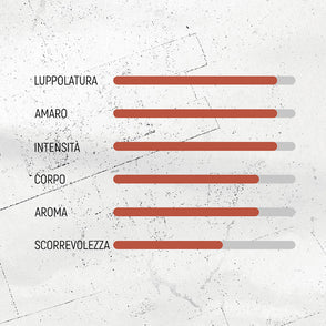 REGENERATION Black IPA