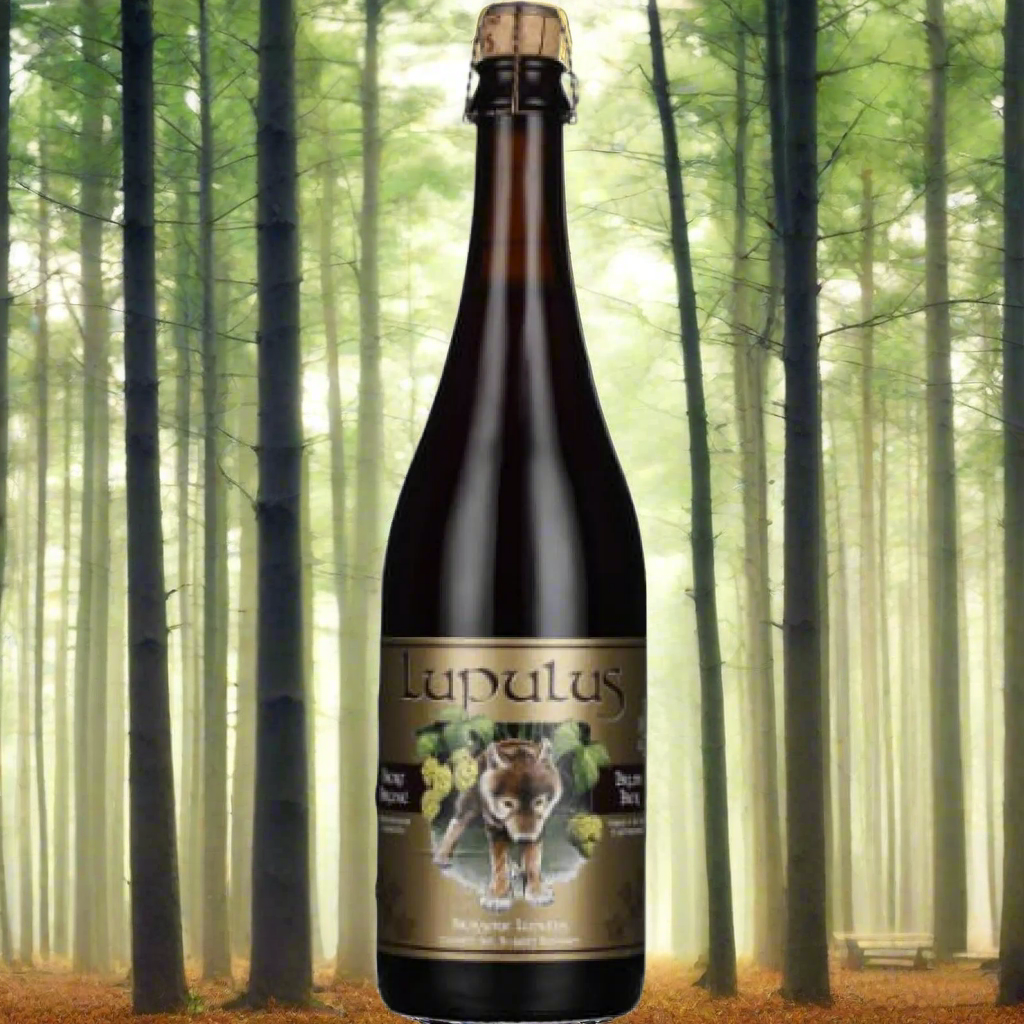LUPULUS BRUNE 75cl