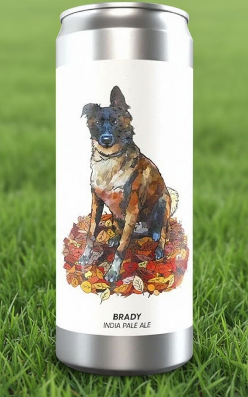 BRADY 33 - BREWSKI 33 cl