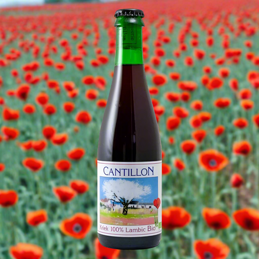 CANTILLON KRIEK LAMBIC 37,5 cl